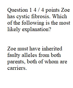 Week 5 Quiz 4